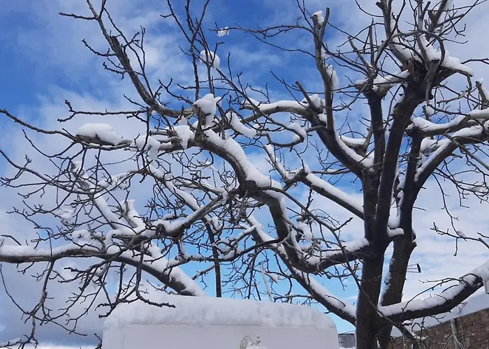 בית נופש Mannashouse